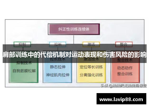 肩部训练中的代偿机制对运动表现和伤害风险的影响