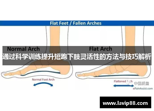 通过科学训练提升短跑下肢灵活性的方法与技巧解析